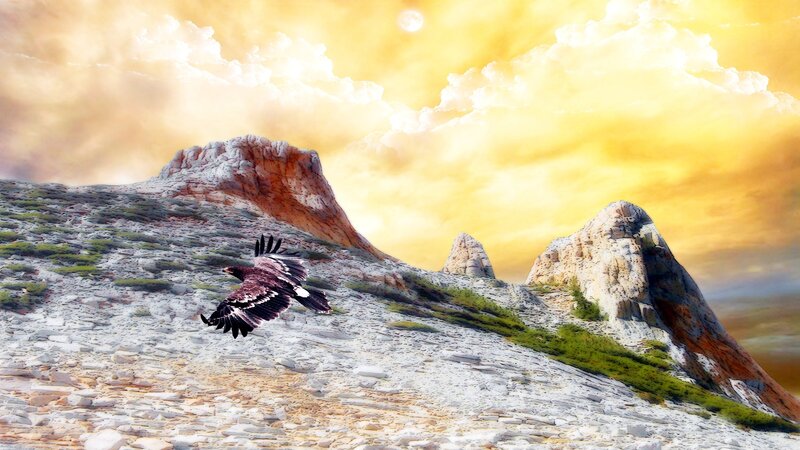 Flying Eagle over Mountains