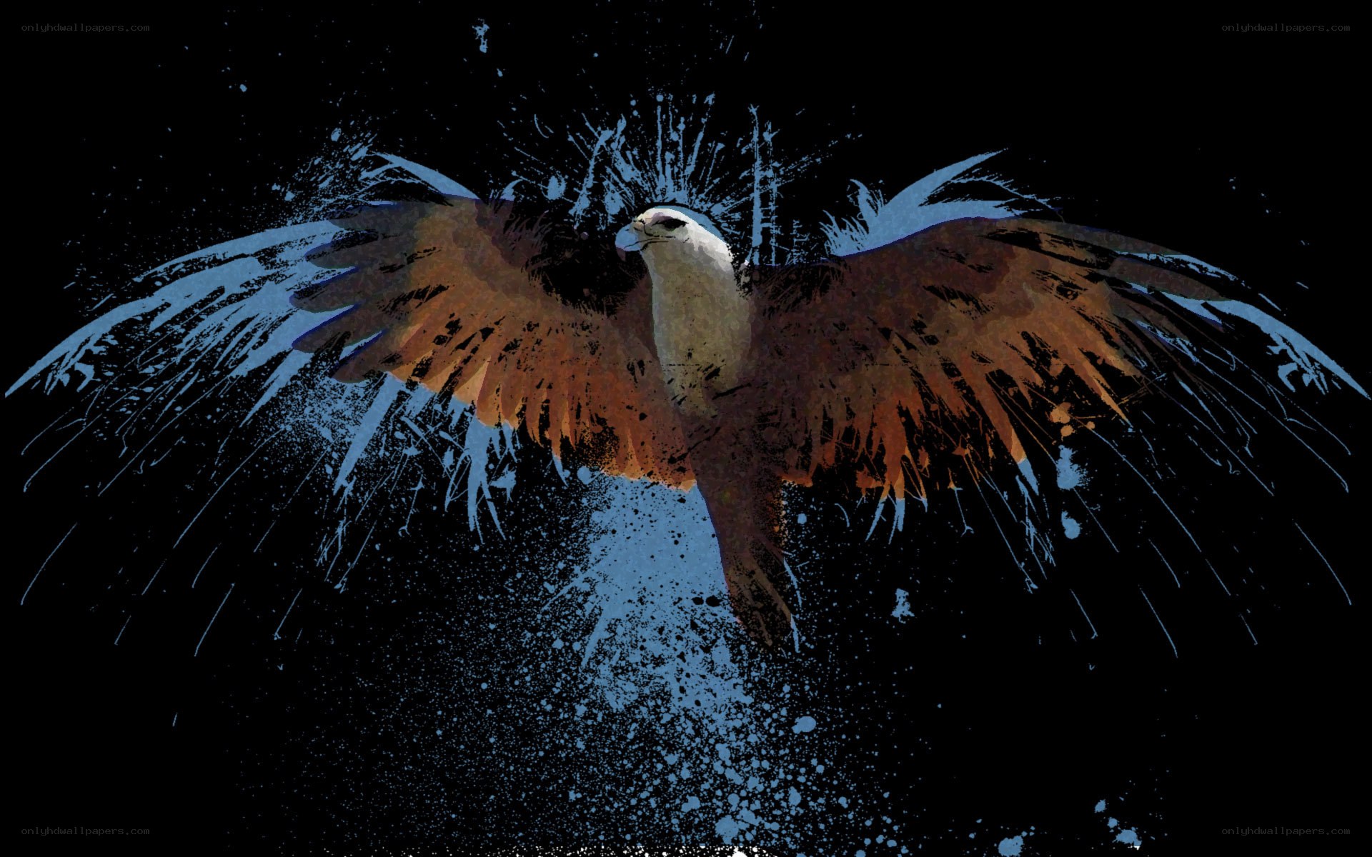 flying eagle with splattered wings