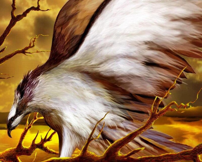 Flying Eagle — Yellow, Dramatic, Sunset