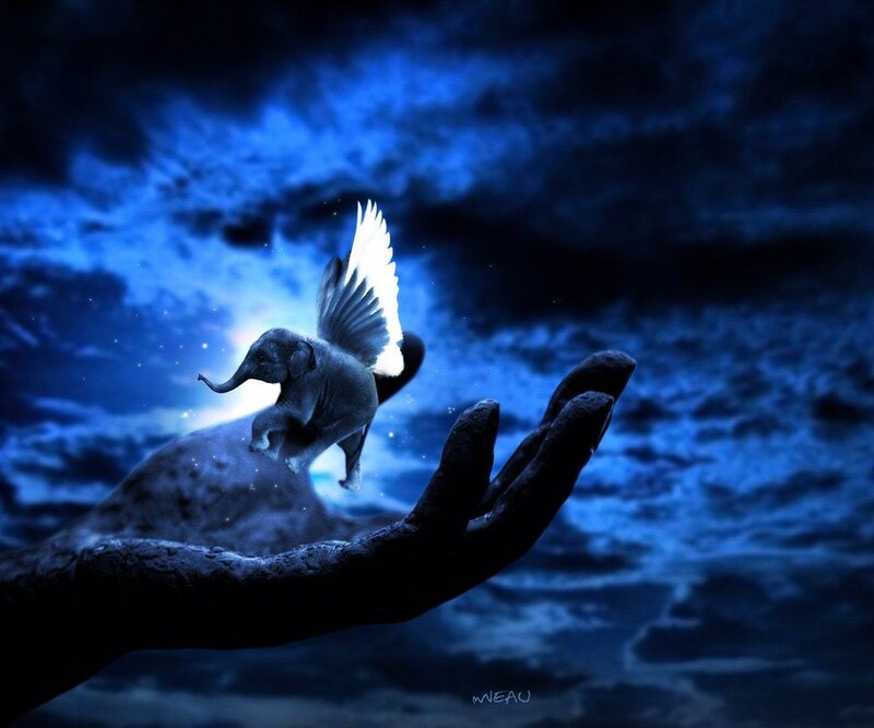 Flying Elephant with Wings — Blue