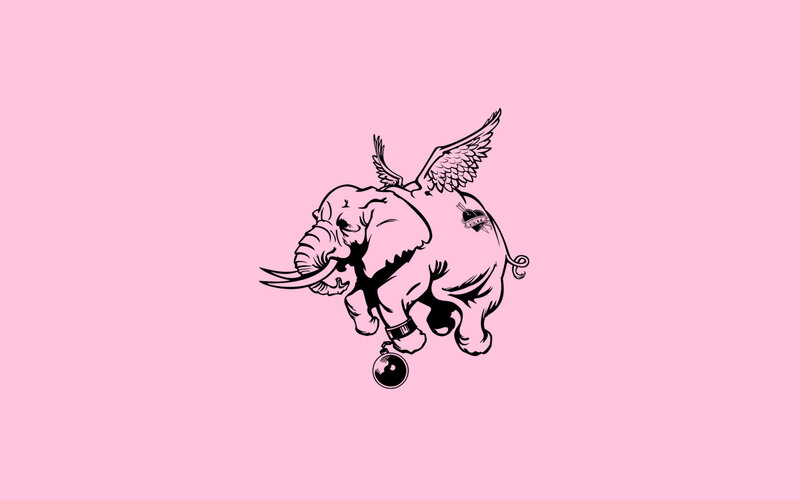 flying elephant with wings