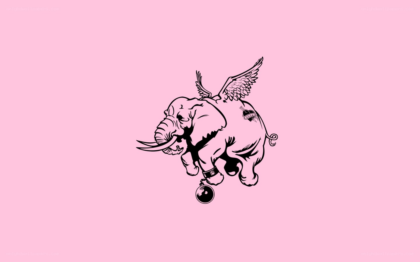 flying elephant with wings