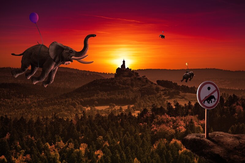 Flying elephants at sunset