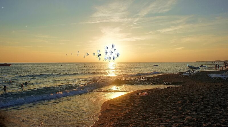 Flying Fish over Beach