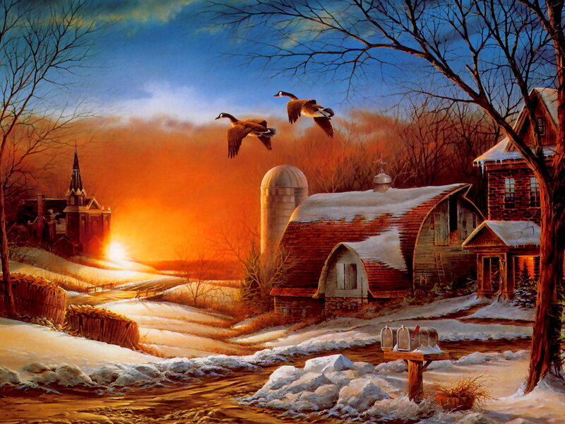 Flying Geese over Farm