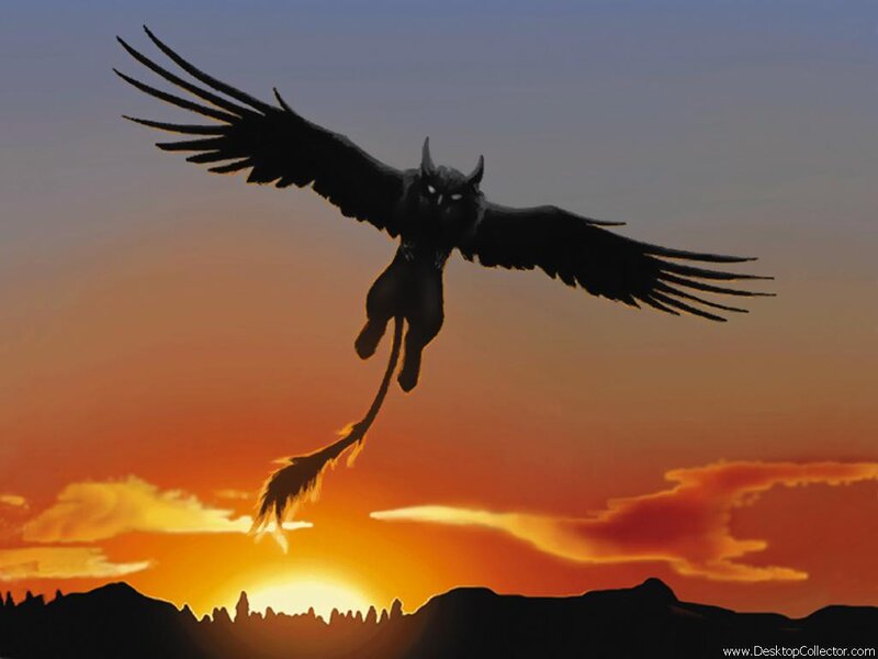 flying griffin at sunset