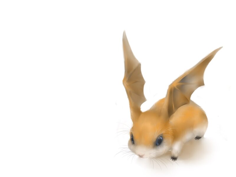 Flying Hamster Creature