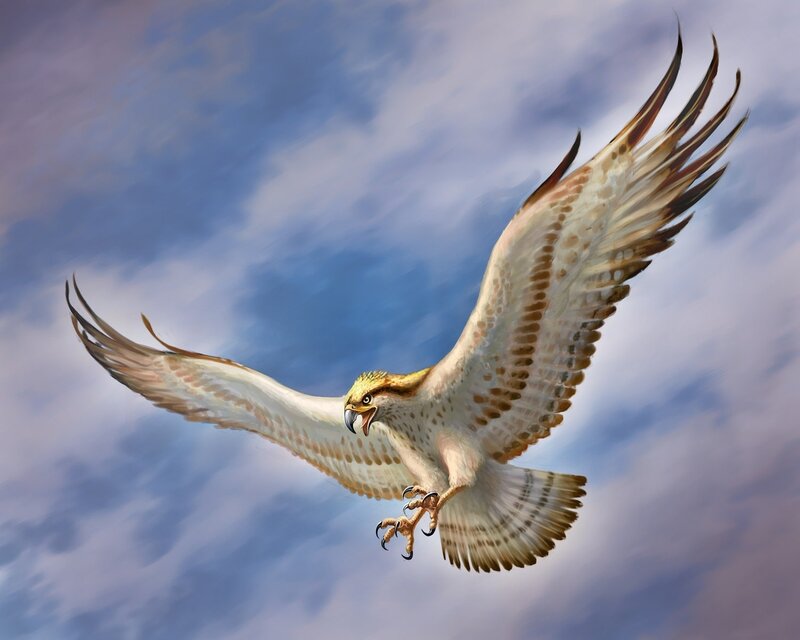 Flying Hawk — Blue, Dramatic, Afternoon