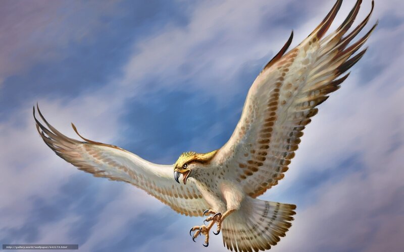 Flying Hawk — Blue, Dramatic, Digital Art