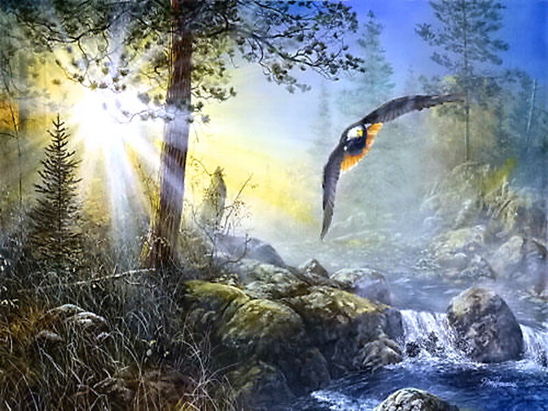 Flying Hawk over Stream