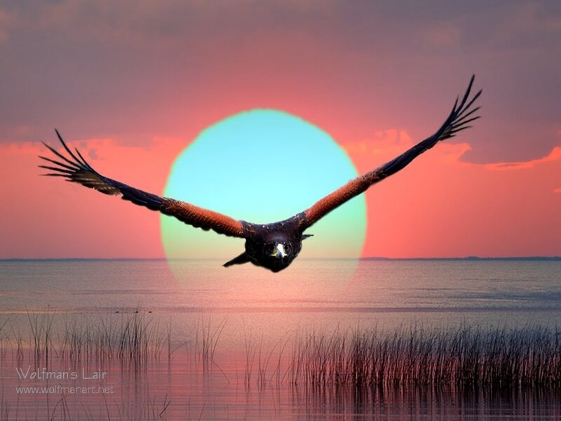 Flying Hawk — Pink