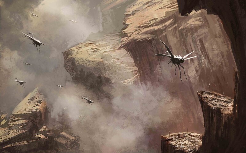 Flying insects in a canyon