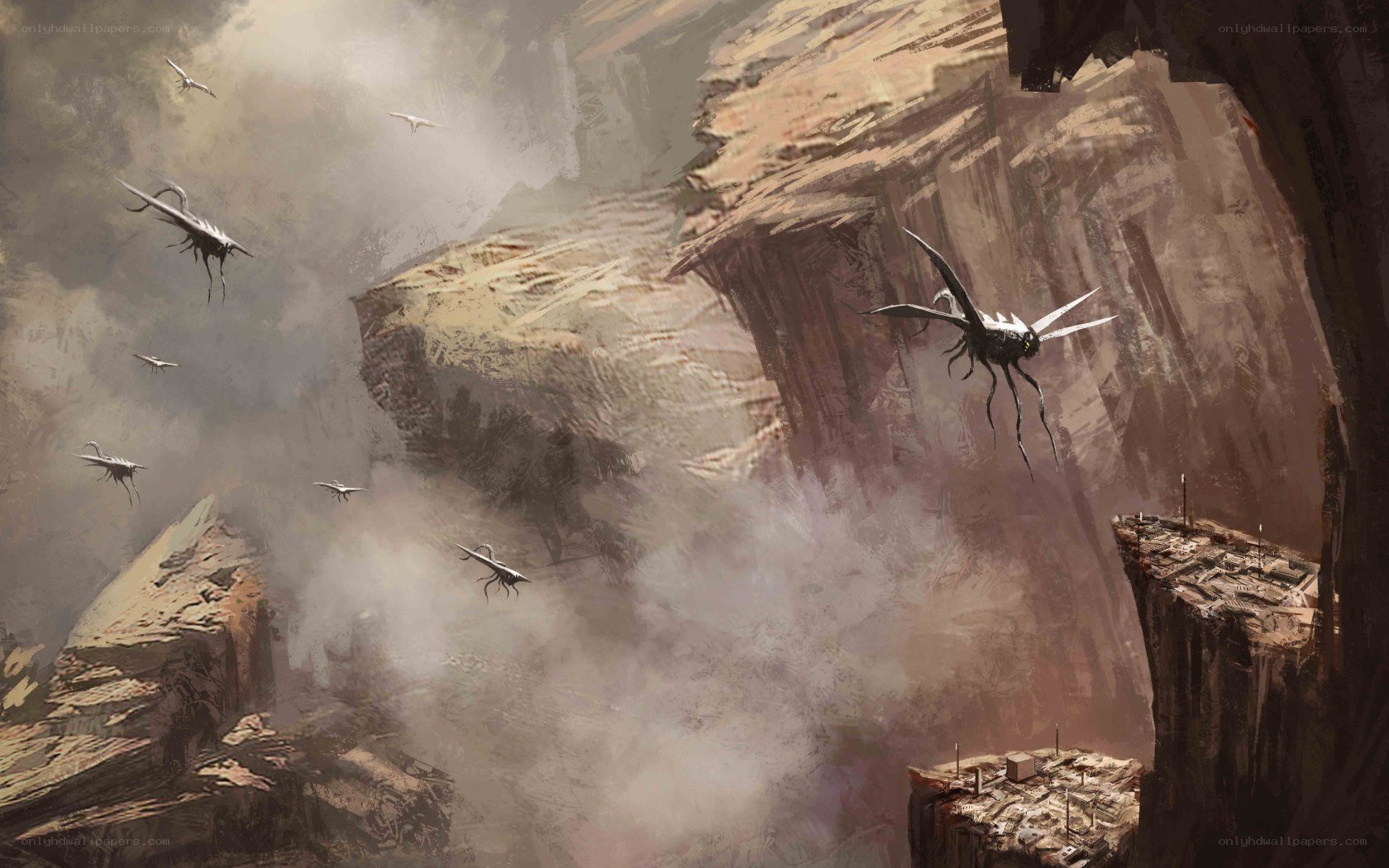 Flying insects in a canyon