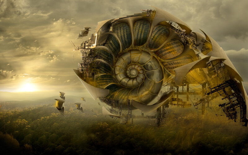 flying nautilus structure