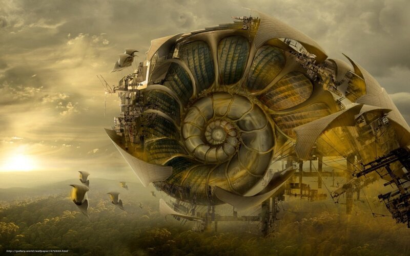 flying nautilus structure