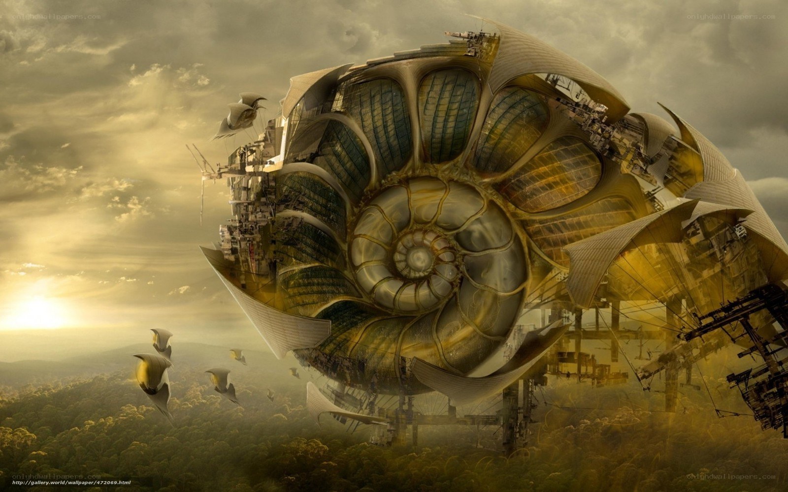 flying nautilus structure