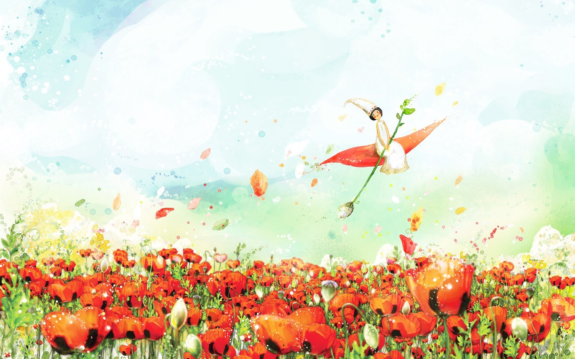 flying over a poppy field