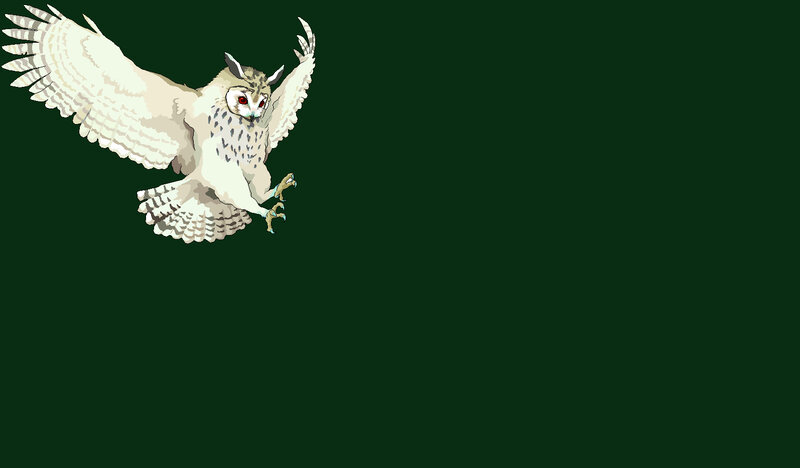 flying owl illustration