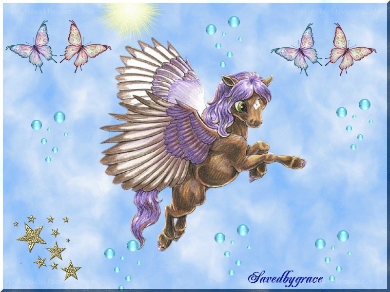 flying pegasus with butterflies