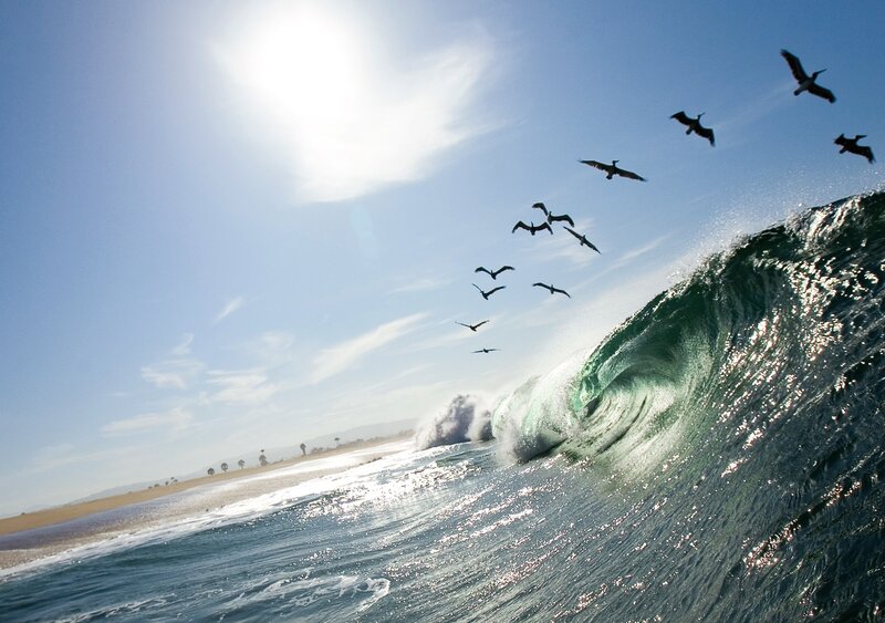 Flying Pelicans over Wave