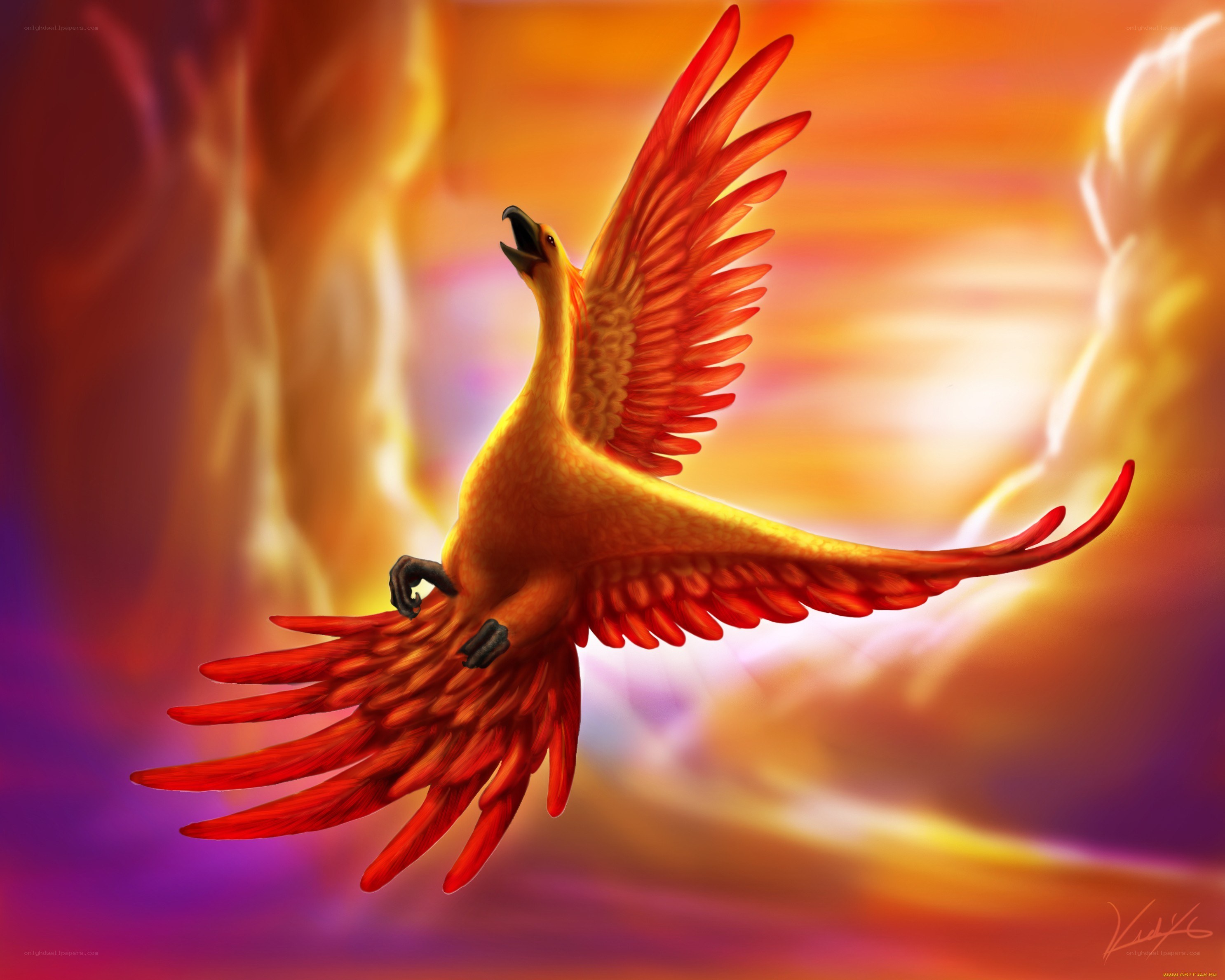 flying phoenix bird