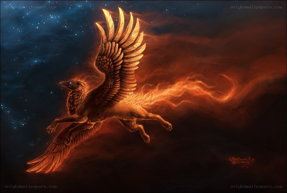 flying phoenix in flames
