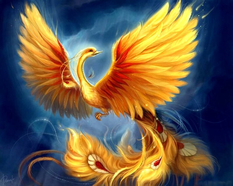 flying phoenix in golden light