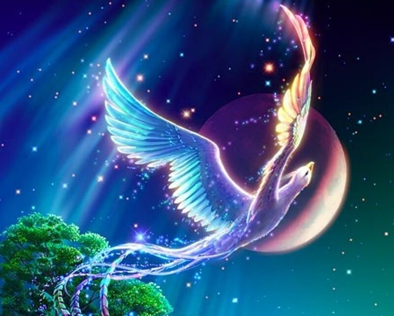 flying phoenix in starry sky