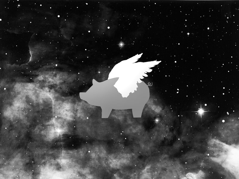 flying pig in space