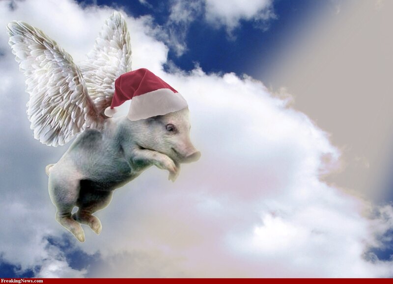 Flying Pig with Wings