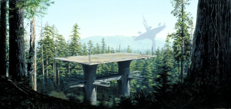 Flying Platform in Forest