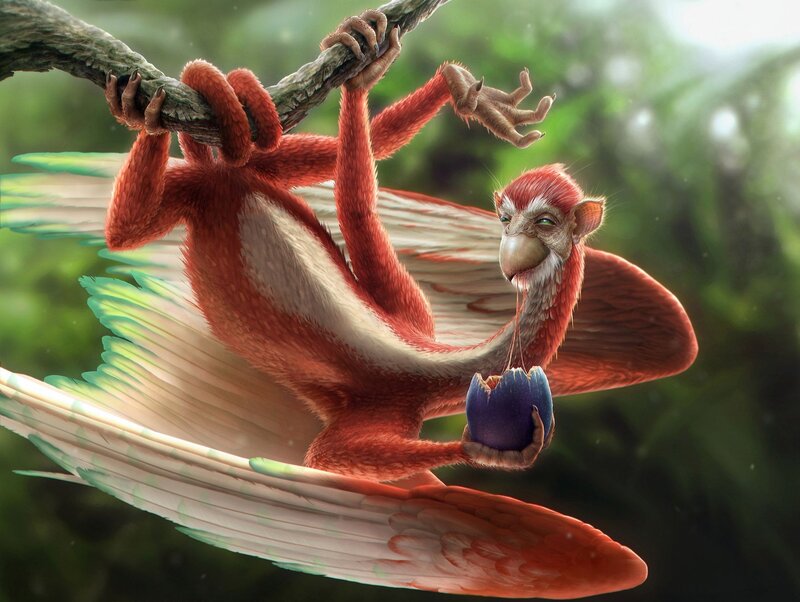 flying primate eating fruit