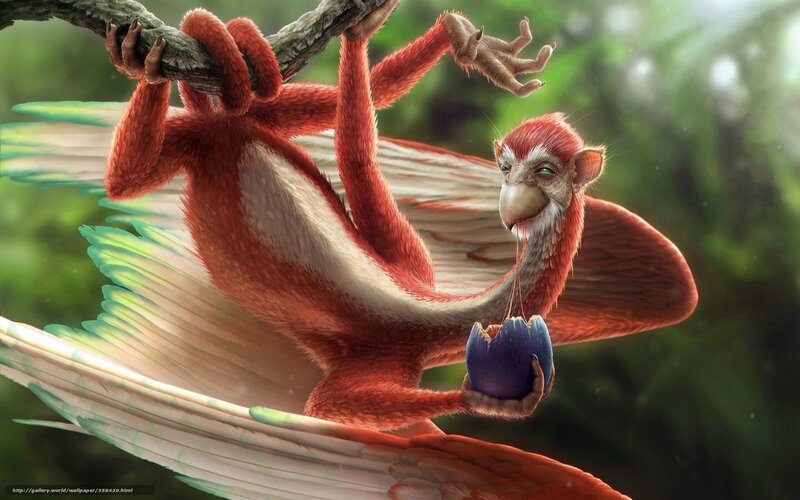 flying primate eating fruit