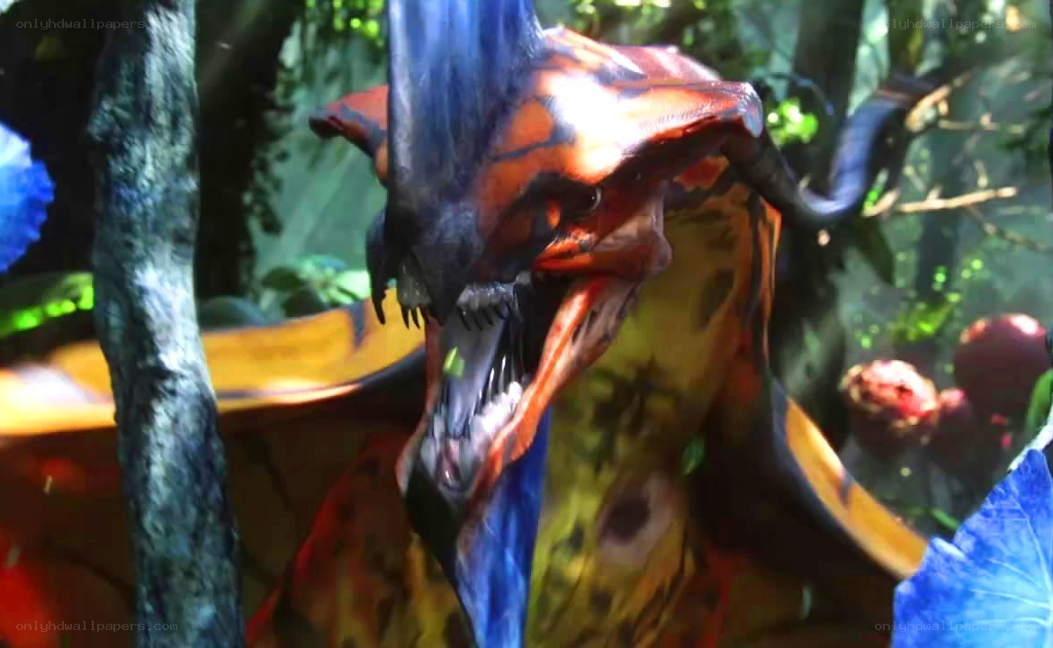 flying reptile in jungle