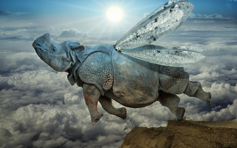 Flying Rhinoceros — Blue