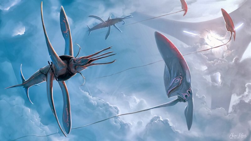 Flying Sea Creatures