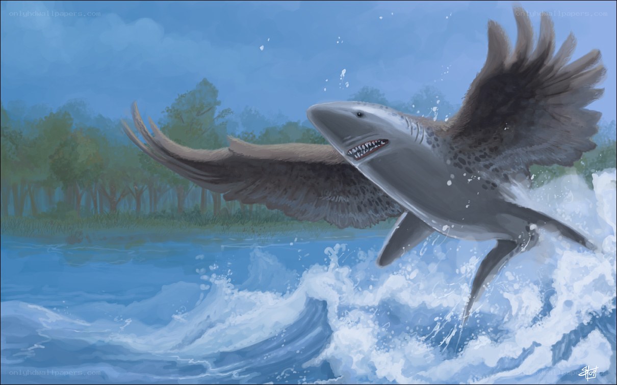 flying shark in river