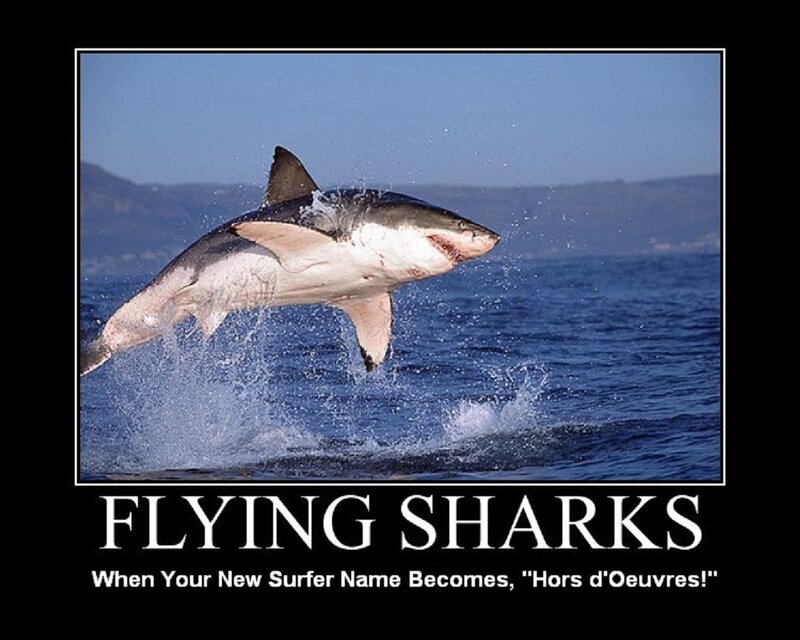 flying shark meme