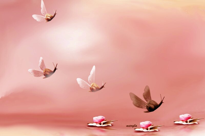 Flying Snails