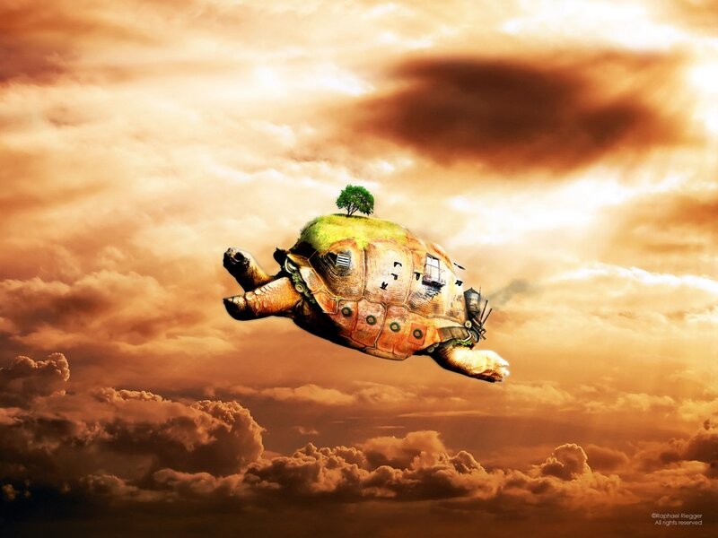 Flying Turtle with Island — Orange