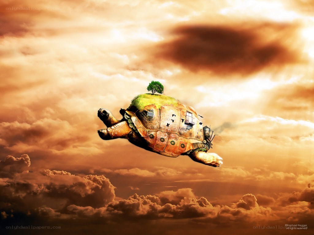 flying turtle with island shell