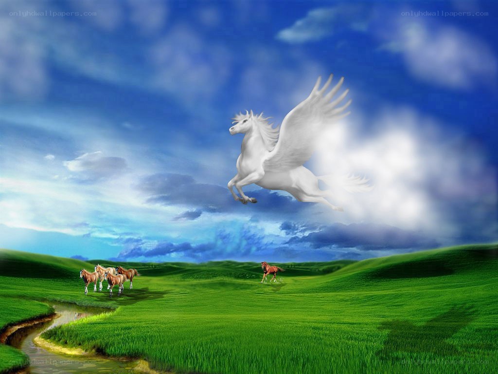 Flying white horse in green fields