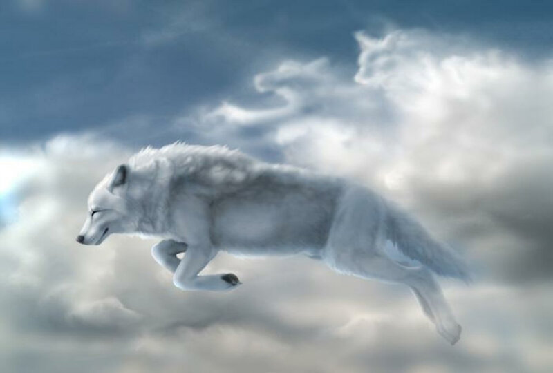 flying white wolf