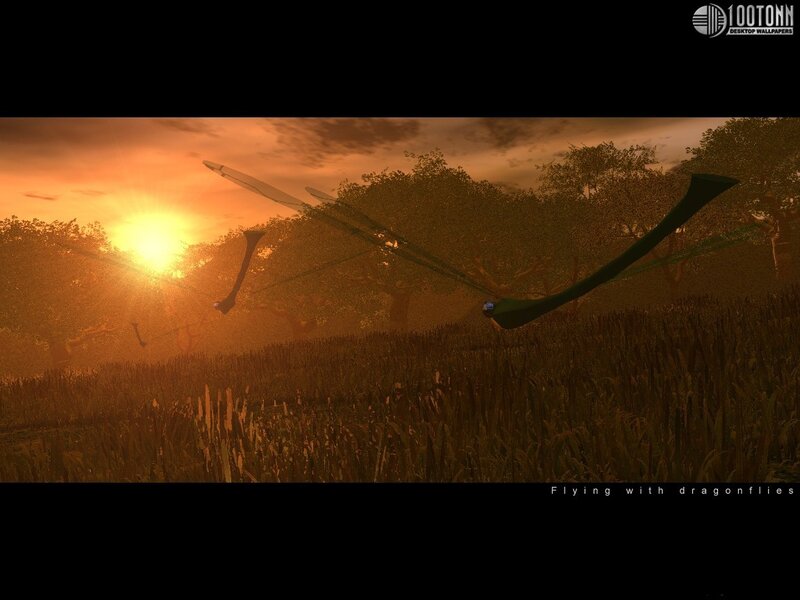Flying with dragonflies