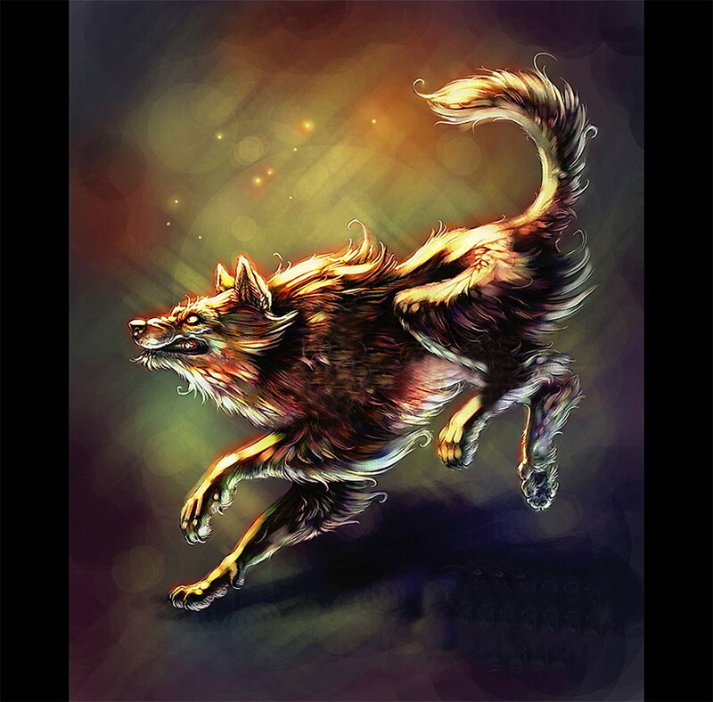 flying wolf in golden light