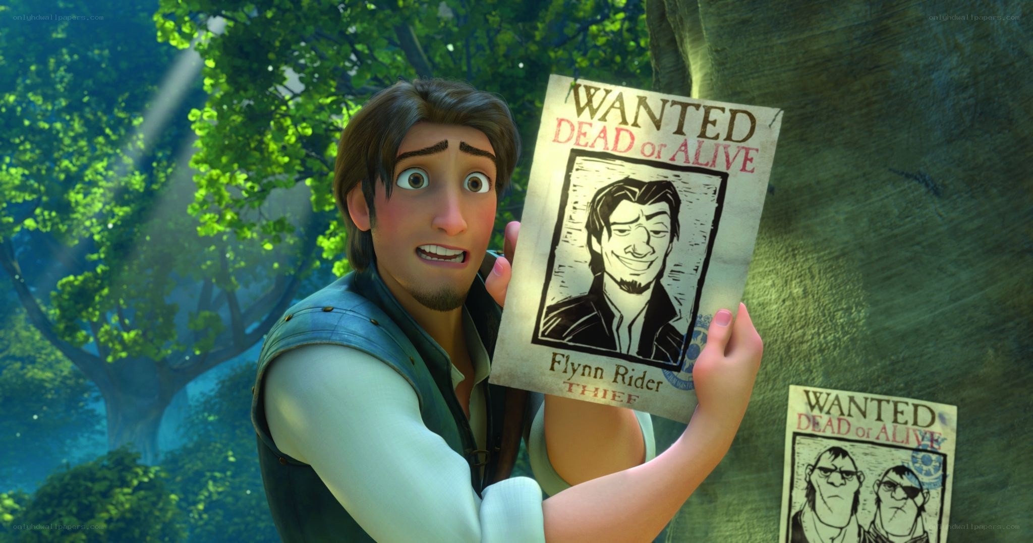 Flynn Rider wanted poster