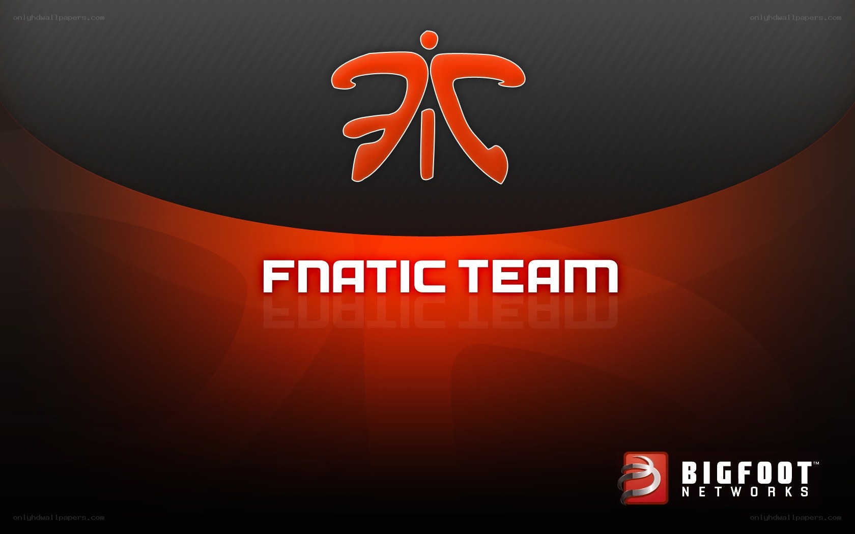 Fnatic Team logo
