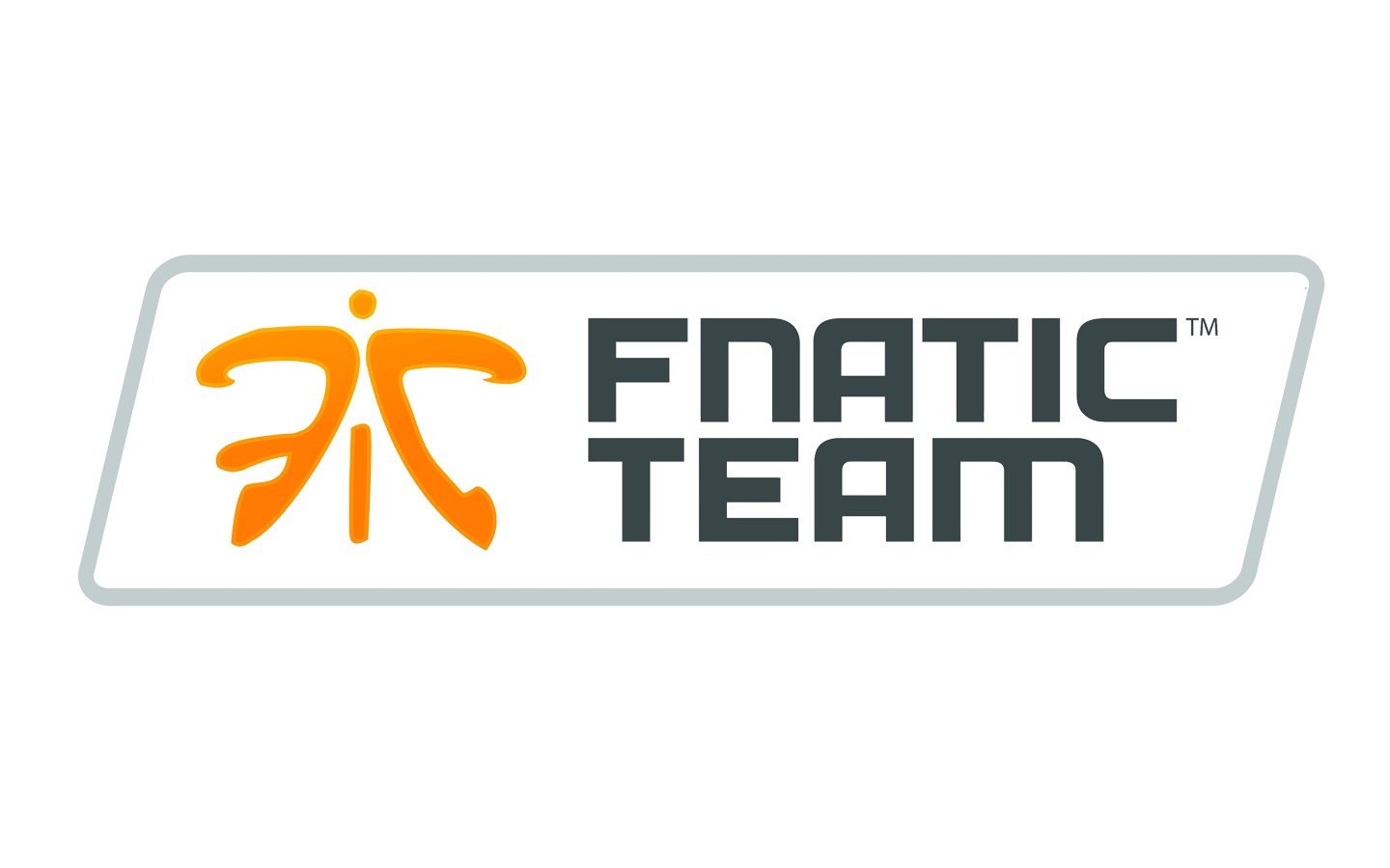 Fnatic Team logo