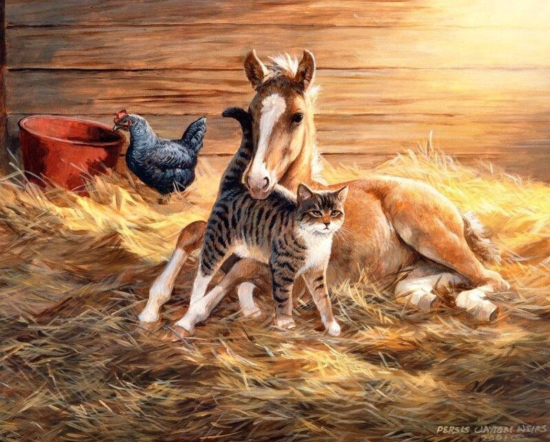 Foal and Tabby Cat