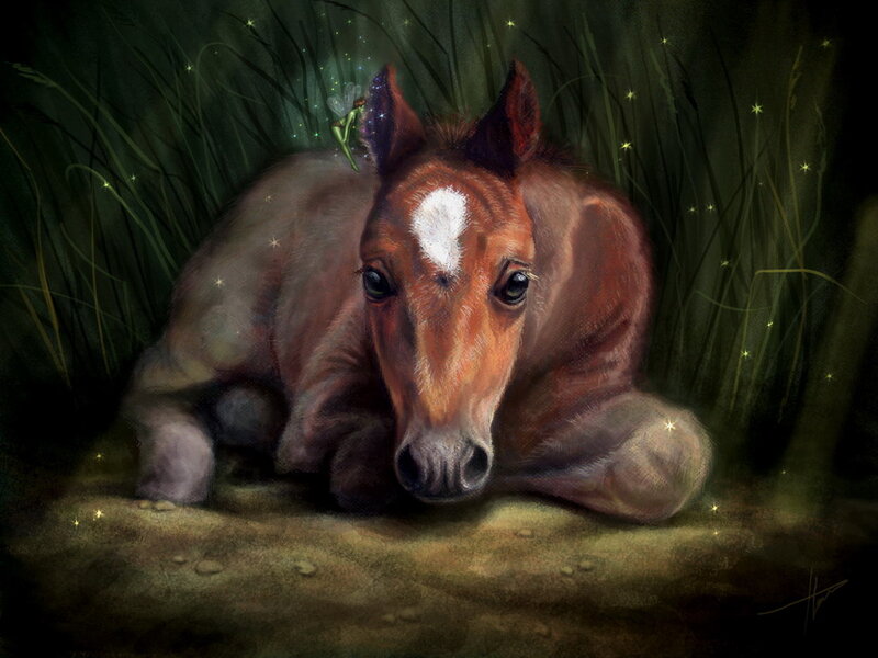 Foal in Grass